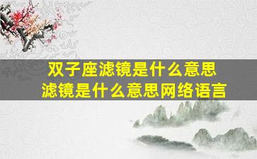 双子座滤镜是什么意思 滤镜是什么意思网络语言